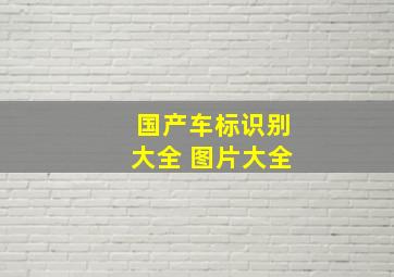 国产车标识别大全 图片大全